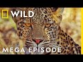 The Fight For Survival Savage Kingdom MEGA EPISODE Season 2 Full Episodes
