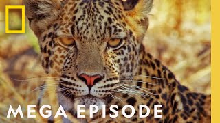 The Fight for Survival | Savage Kingdom MEGA EPISODE | Season 2 Full Episodes