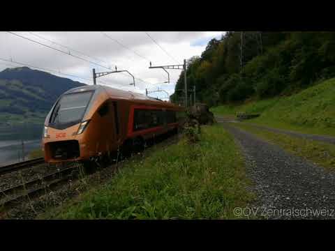 Makromix 2020 ÖV Zentralschweiz                                                            (-3.1.21)