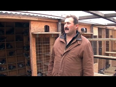 BOBAN MIŠIĆ A-1 BEČ