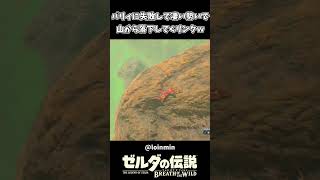 パリィに失敗して崖から落ちてくリンクｗｗ【ゼルダの伝説 ブレス オブ ザ ワイルド】