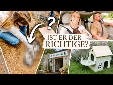 Partner für Ninchen?! Tierheim Besuch & Gehege Shopping