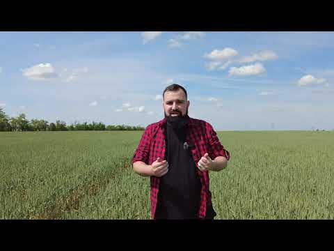 4 серия - Колхоз им.Петровых