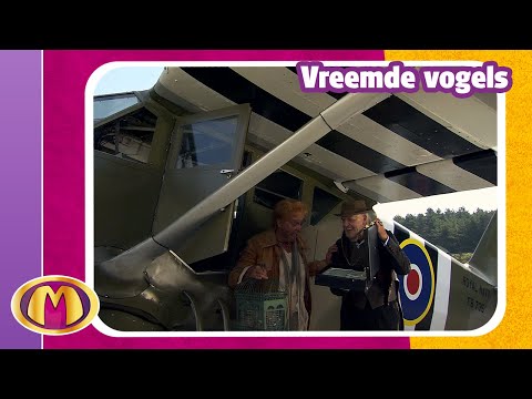 Vreemde vogels - 🦸 Mega Mindy avonturen