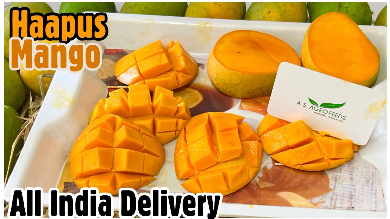 Order Organic Indian Alphanso Mango Online From A.S Agro Feeds Pune | All India Delivery