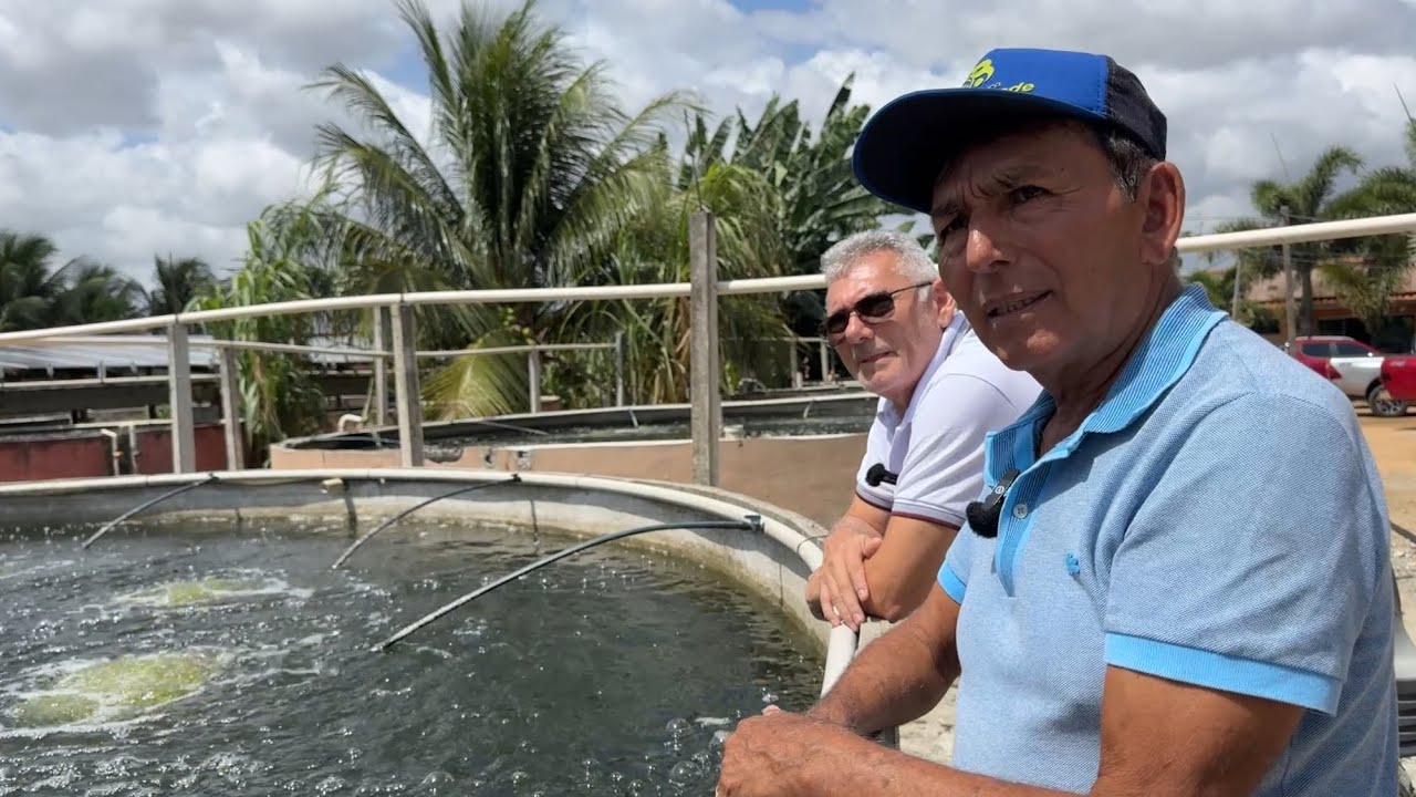 VEJA SE VALE A PENA ESSE INVESTIMENTO?