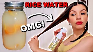 OVERNIGHT RICE WATER SPRAY FOR EXTREME HAIR GROWTH | How To Make Rice Water For Hair Growth
