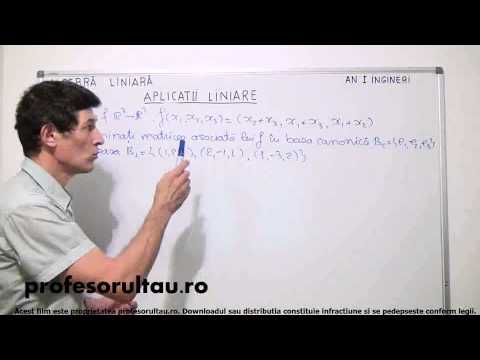31   Aplicatii liniare   partea 3 - profesorultau.ro