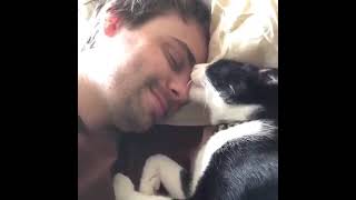 National Oreo Day Pets