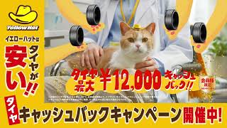 イエローハット 2026年タイヤキャッシュバックセール