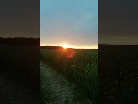 Волшебно В ЗаКаТе СолнЦа