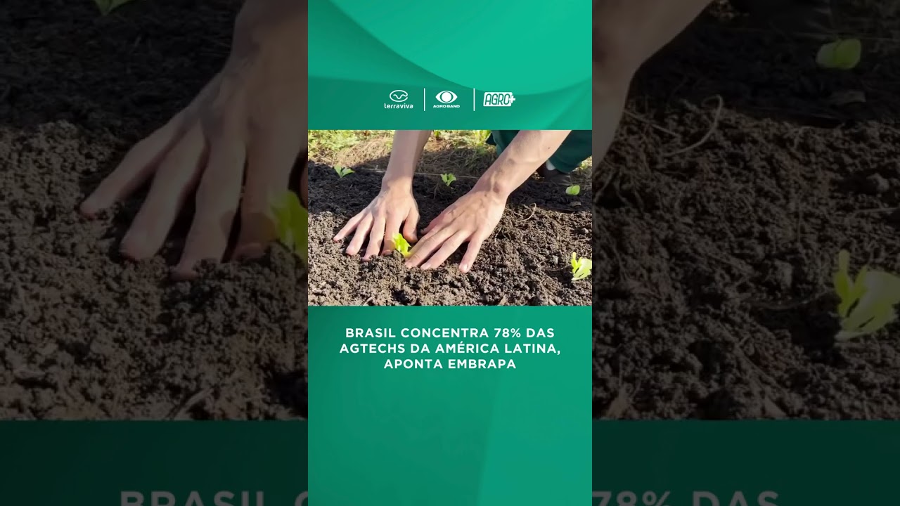 Brasil concentra 78% das AgTechs da América Latina
