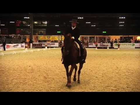 Doma Vaquera   Giacomo Cocozza   Jaraqueno   Trofeo città di Milano