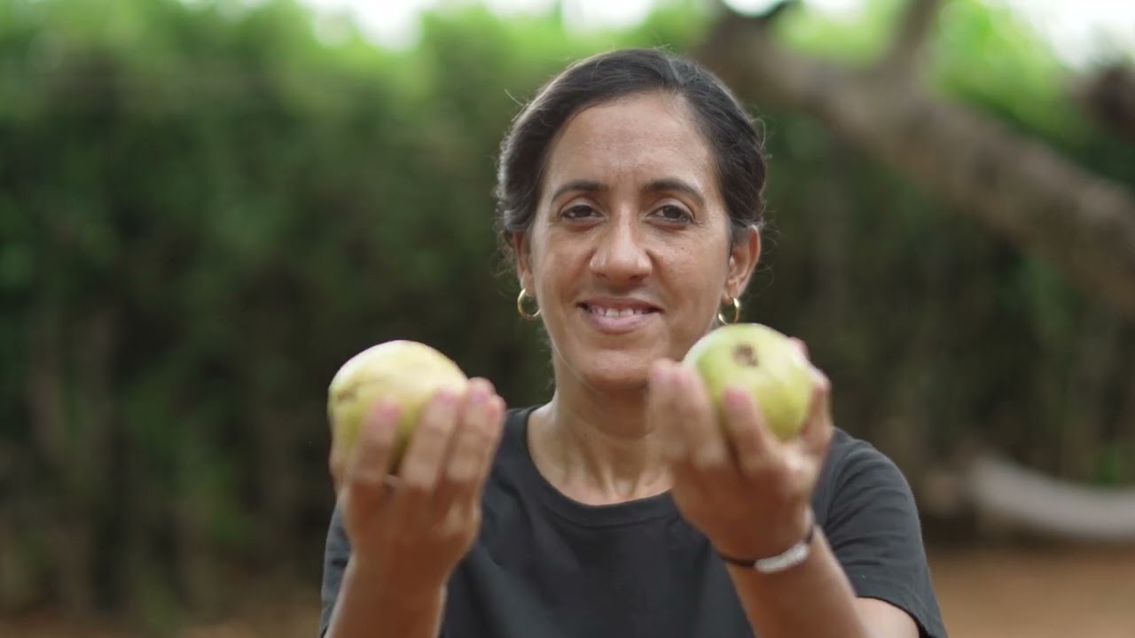 El sector Agricultura Sostenible de AICS La Habana