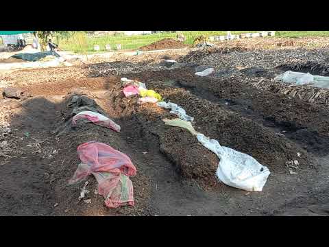 #vermicompost #organic #organiccompost #vermicomposting #vermiseller #vermiculture #jaivikkhaad
