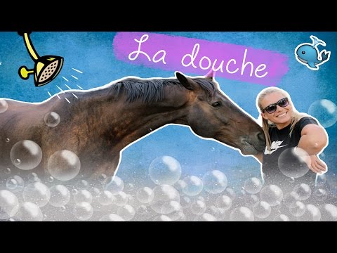 download lagu mp3 mp4 Laver Un Cheval, download lagu Laver Un Cheval gratis, unduh video klip Laver Un Cheval