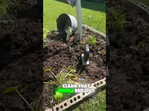 Flower bed clean out! #godsgarden #garden #viral