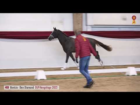 Lot 40: Hengst v. Benicio/Don Diamond