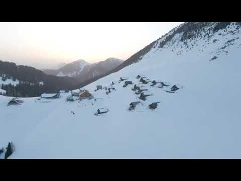 Singgemeinschaft Oisternig - Wandern im Wald