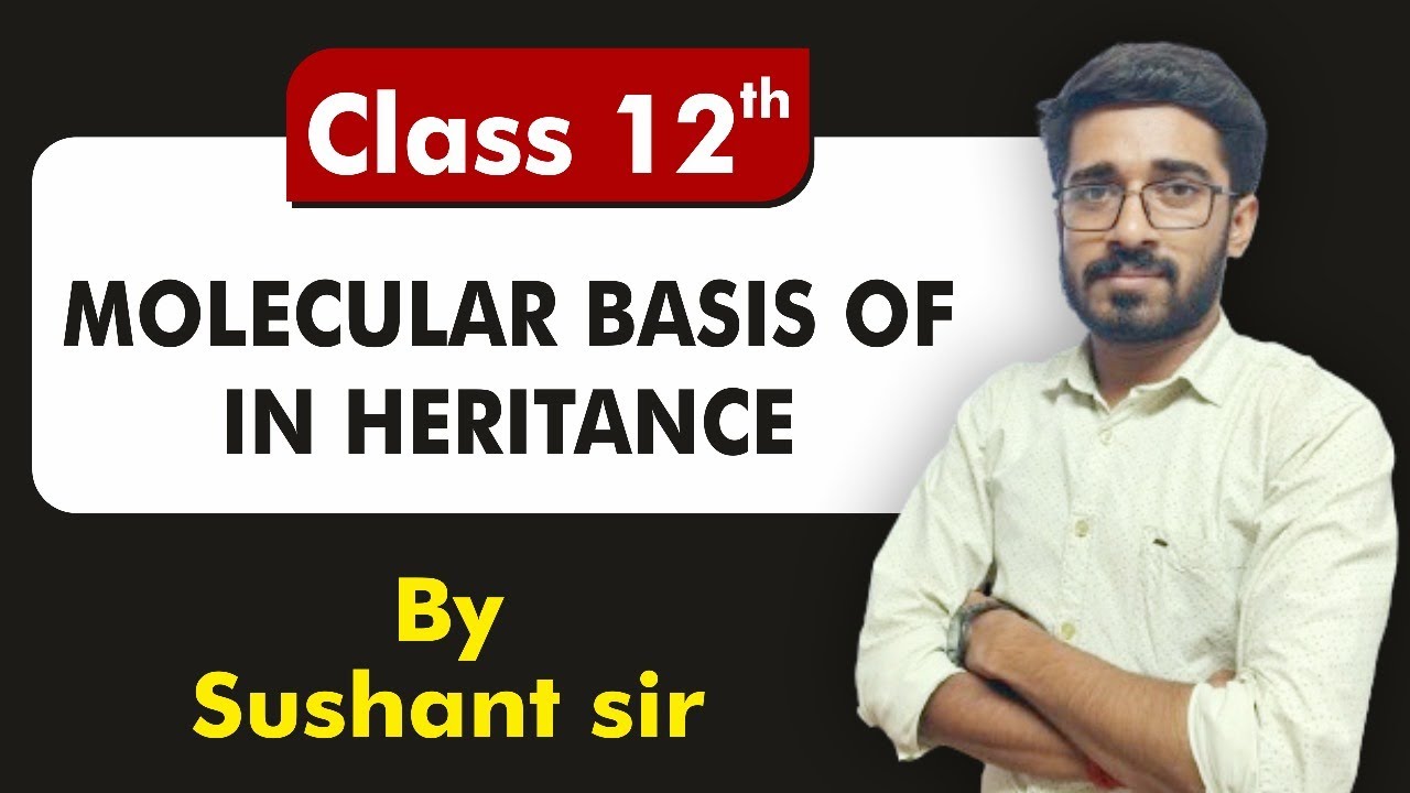 Molecular Basis of Inheritance: Lecture-01 (Nucleic acid) Explained Understand The Basic Concepts