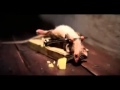 Die Supermaus 