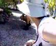 Idina Menzel Australian Vacation With Taye