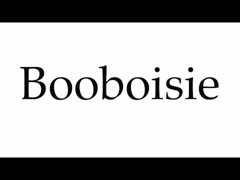 How to Pronounce Booboisie