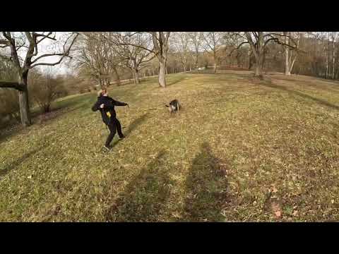 Mantrailing - Was wir unter Leinenhandling verstehen - Die Kocher Methode