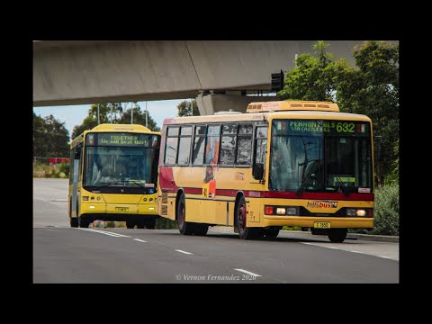 [Loud Musical ZF] CDC Hillsbus m/o 7650 (Custom Coaches 510 - Mercedes Benz O405)