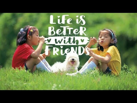 Life better with friends|friendship|emotional friendship video