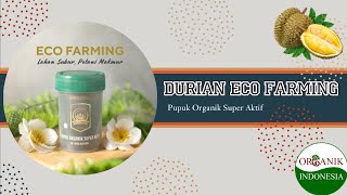 Download lagu Pohon durian ini mulai bermunculan bunga setelah aplikasi pupuk eco farming mp3