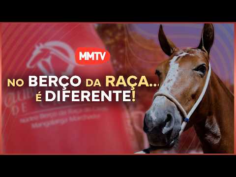 CRUZÍLIA: ONDE A TRADIÇÃO DO MARCHADOR GANHA VIDA