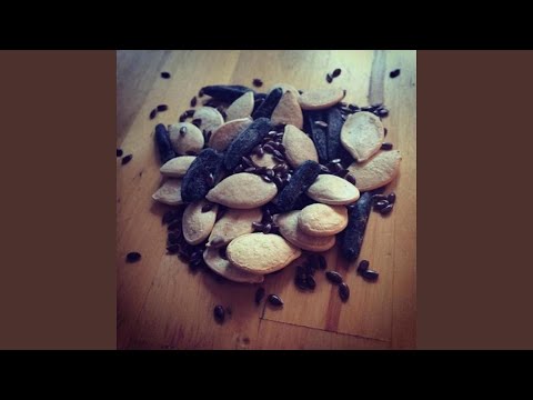 An Ontological Journey