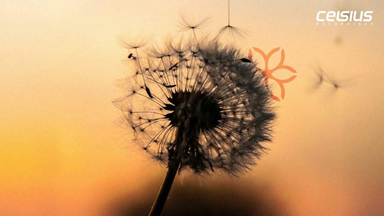 Promenade - Don't Let Go