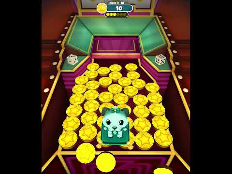 CDC PoodlePrizeDangle 15s 1x1