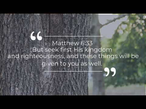 "Ib Xyoos Ntuj Zeeg" SHAC Alliance Women (Cover) Music Video with lyrics