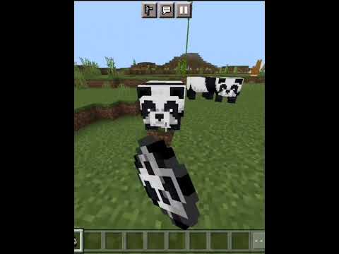 PP Minecraft - Fact about Panda 🐼 that will be blow your mind #shorts #Minecraft
