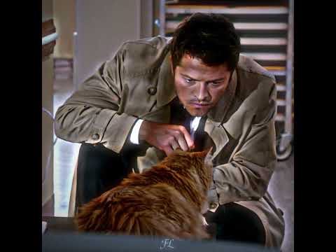 Meet the Supernatural Characters 🤣💀 #supernatural #edit #shorts #winchester