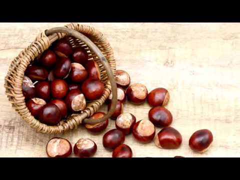 Rosskastanien machen den Venen schöne Beine