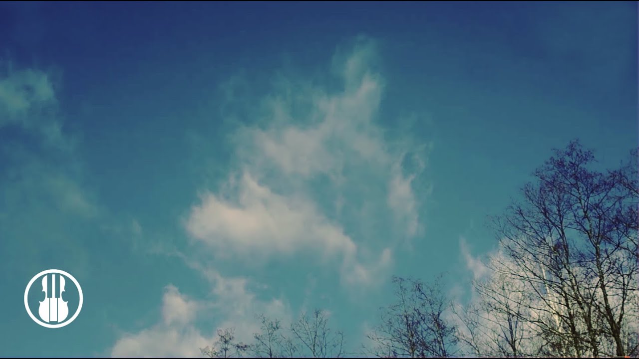 Preset (Ambient)