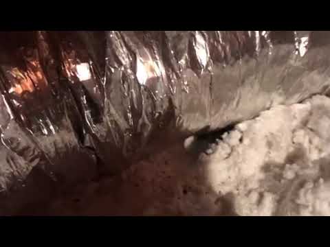 Mice Tunneling Through Homeowners Attic in...