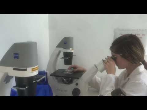 HND Biotechnologie 3