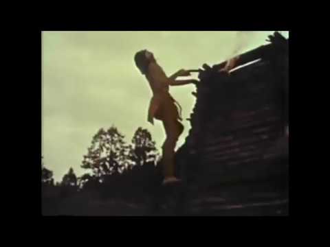 Siege of Fort Boonesborough (1778) - United States vs Shawnee