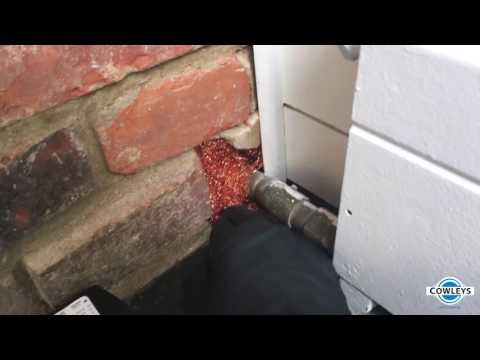 How to ExcludeMice in Rumson, NJ