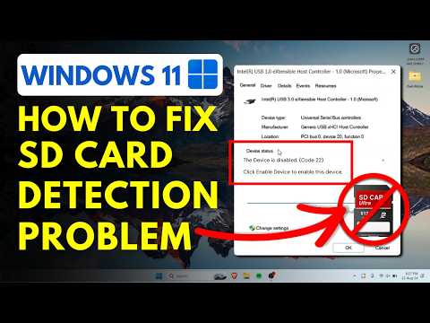 How to Fix SD Card Not Detected in Laptop? Windows 11 SD Card Reader Not Working