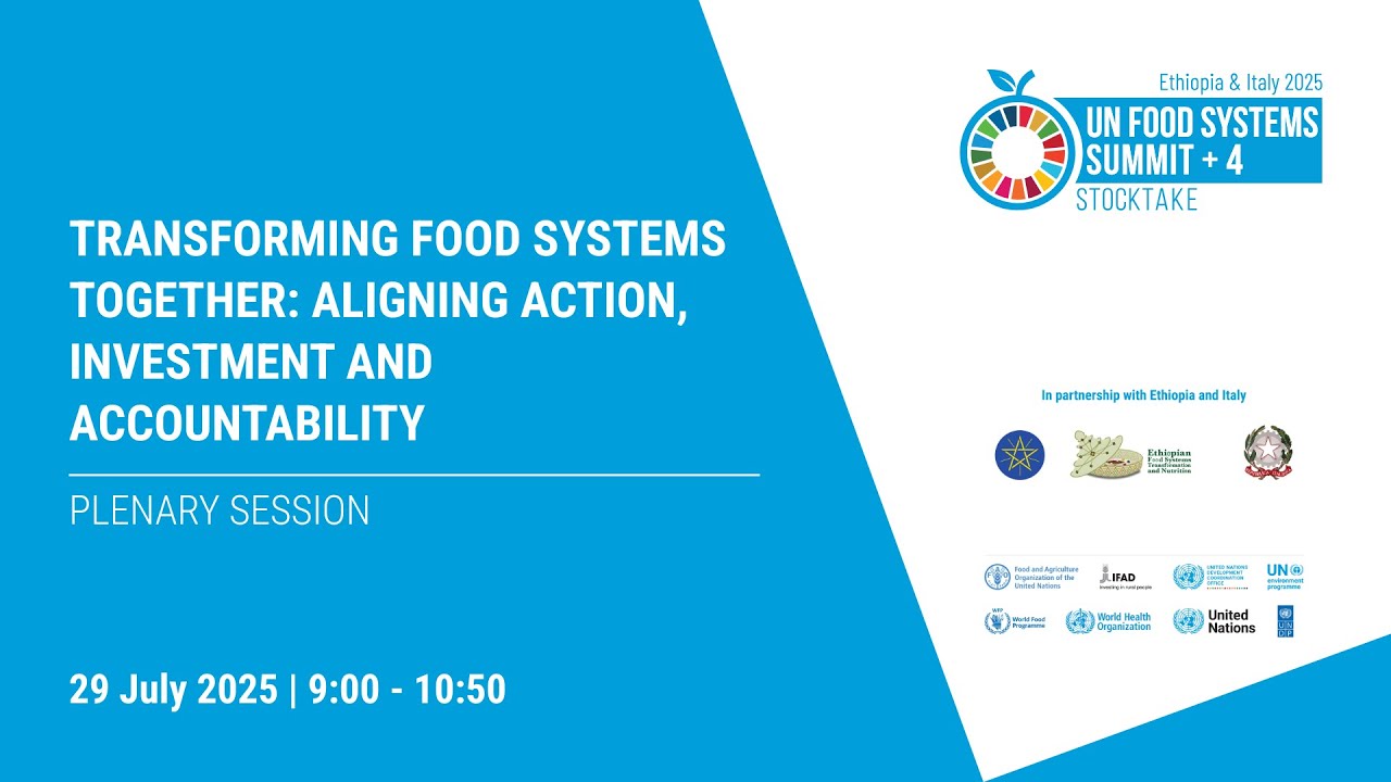 UNFSS+4 Transforming food systems together: Aligning action, investment and accountability