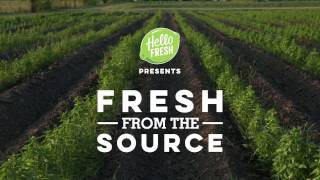 #FreshFromTheSource -- Farm to Fork