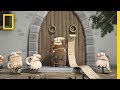 A Fun Animated History Of The Reformation And The Man Who Started It All Short Film Showcase