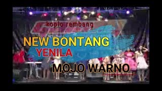 Download lagu New Bintang Yenila  Terbaru 2018 mp3