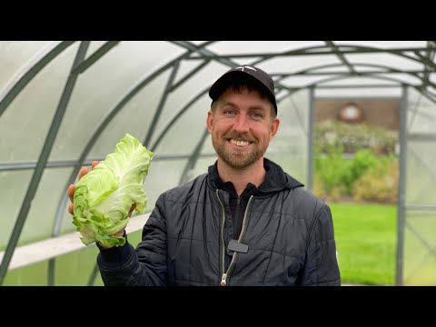 KOM MED EN TUR RUNDT I DRIVHUSENE (vi høster og smager på spidskålen)